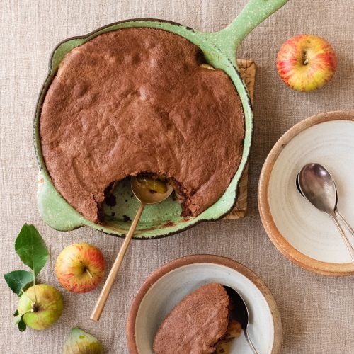 https://www.homegrown-kitchen.co.nz/wp-content/uploads/2020/04/Apple-and-Fig-Chocolate-Sponge-6-of-6-500x500.jpg